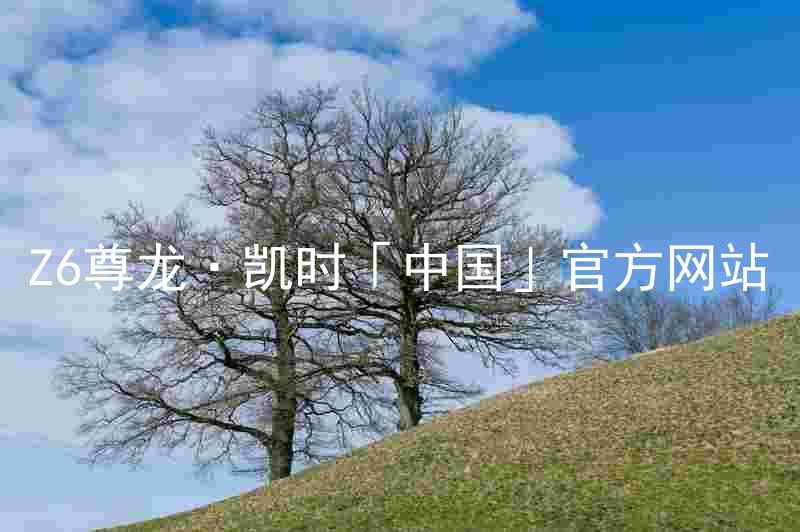 Z6尊龙·凯时「中国」官方网站