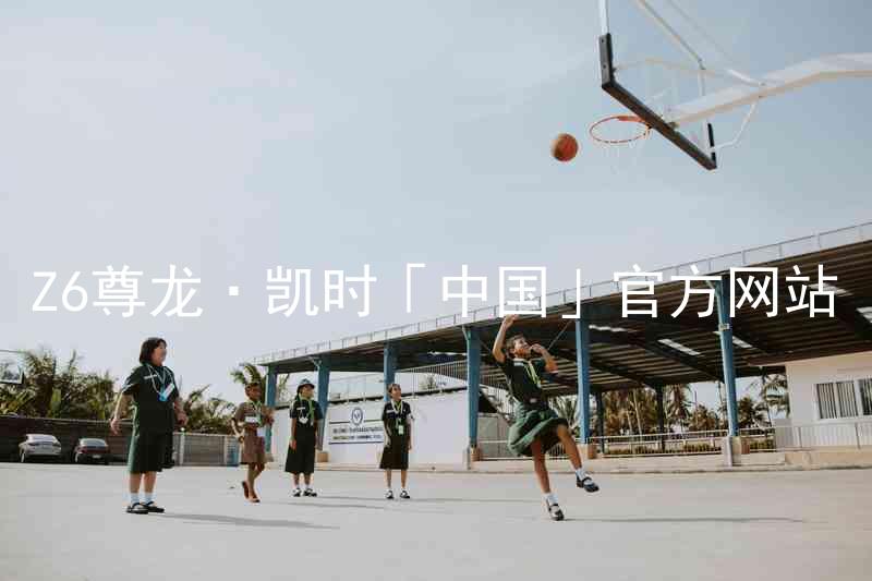 Z6尊龙·凯时「中国」官方网站