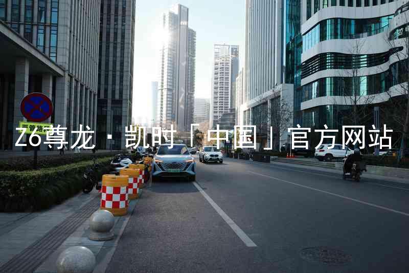 Z6尊龙·凯时「中国」官方网站