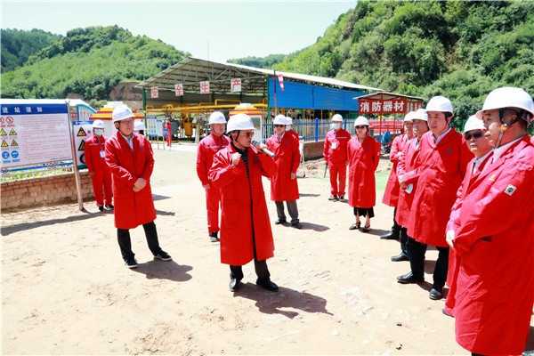 亚星yaxin集团复工复产促增添项目观摩聚会与会职员走进环保保隆生态三秦在延在铜项目