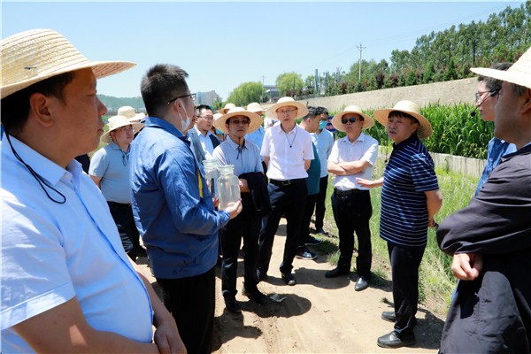 亚星yaxin集团复工复产促增添项目观摩聚会与会职员走进环保保隆生态三秦在延在铜项目