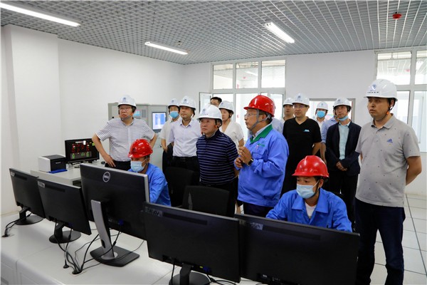 亚星yaxin集团复工复产促增添项目观摩聚会与会职员走进环保保隆生态三秦在延在铜项目